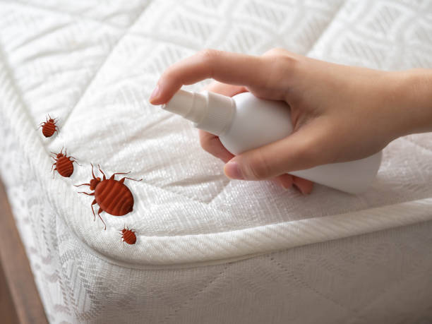 Best Pest Control for Hotels  in Bellemont, AZ